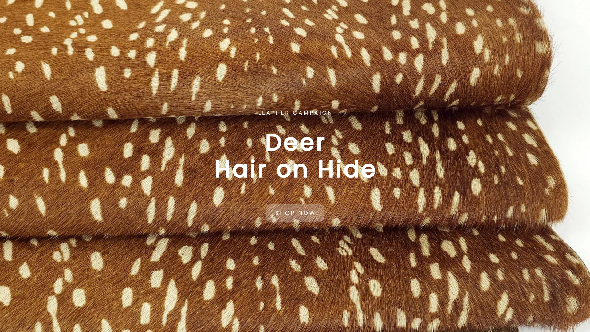 Deer Hair